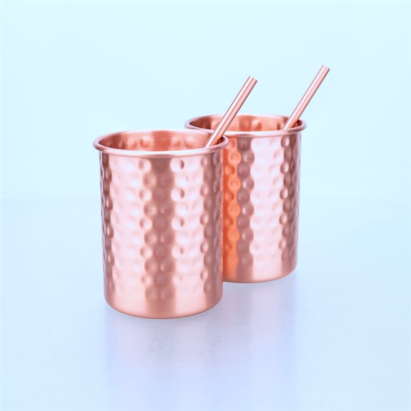 ABLU-2PC 400Ml Copper Color St - Copper Cocktail Mug recension och pris